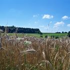 Un paysage pris dans les vosges!