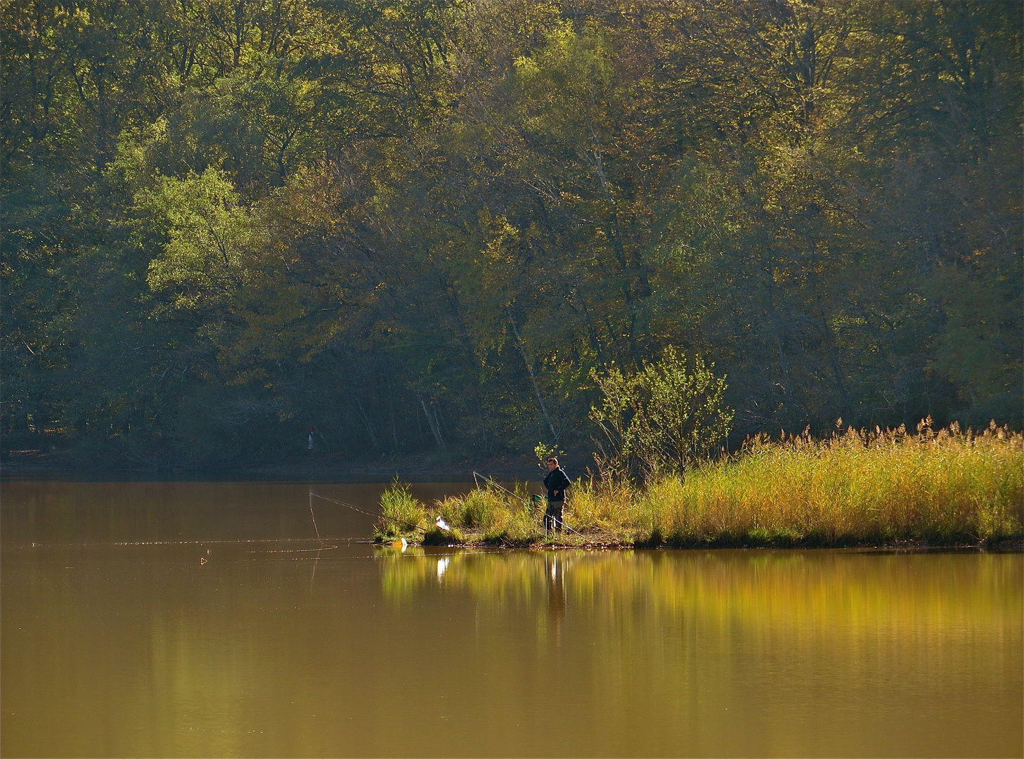 ...un pêcheur solitaire !!!...