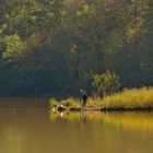 ...un pêcheur solitaire !!!...