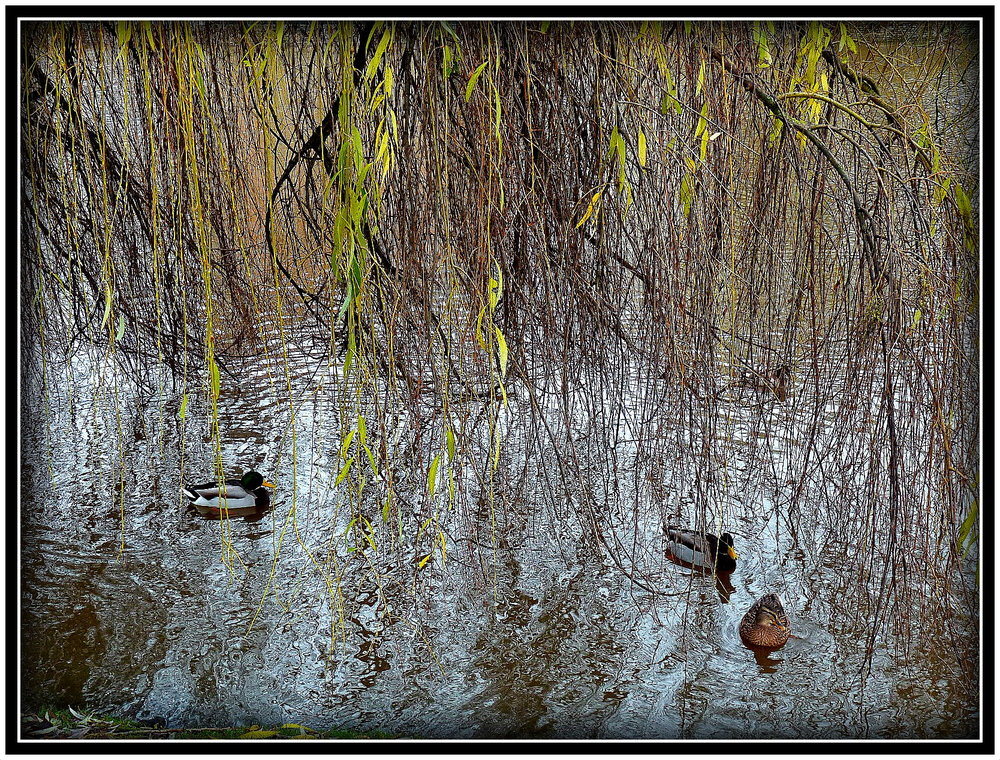 UN PETIT AIR DE MONET