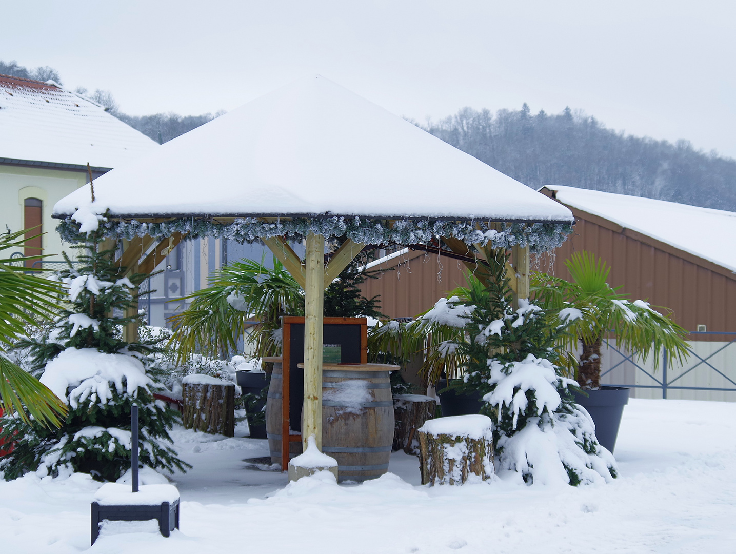 Un petit air de paradis sous une petite couche de neige