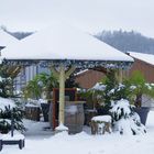 Un petit air de paradis sous une petite couche de neige