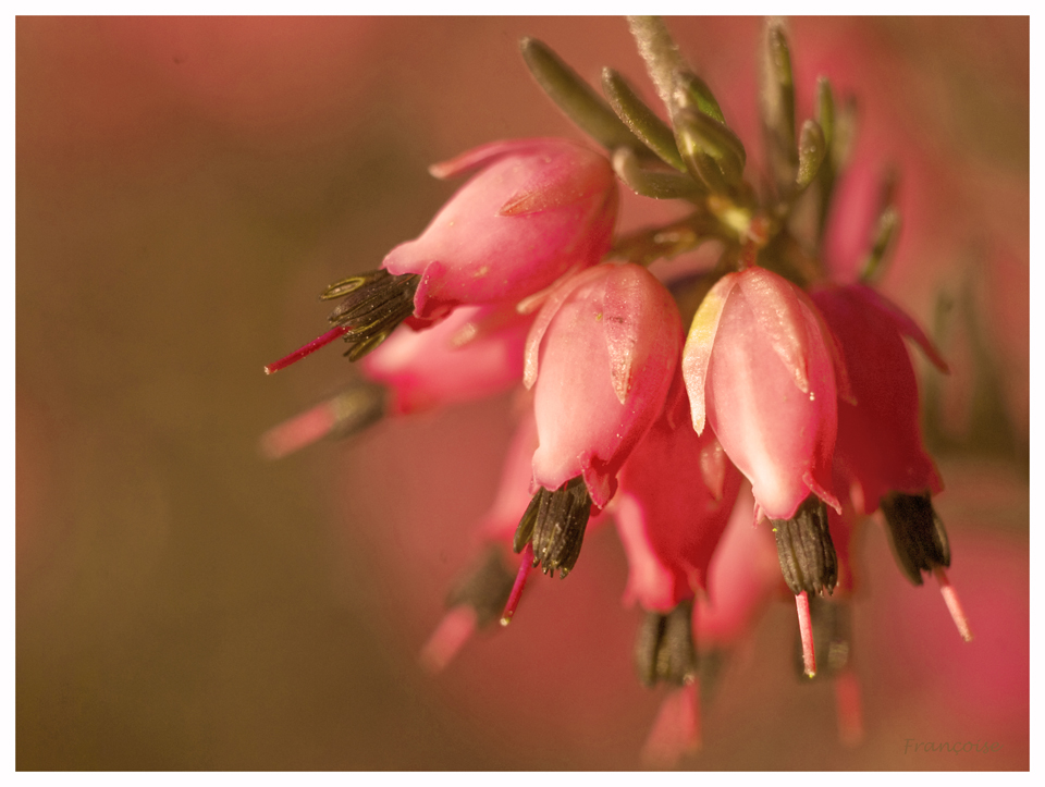 un petit air de printemps