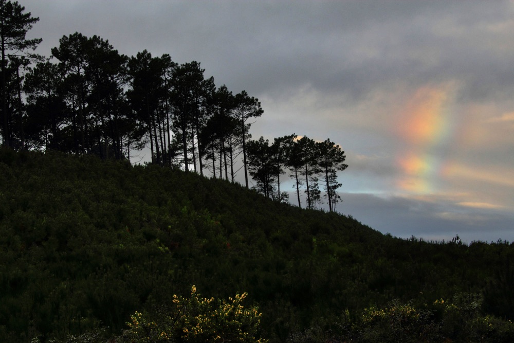 un petit bout d'arc en ciel !