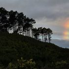 un petit bout d'arc en ciel !