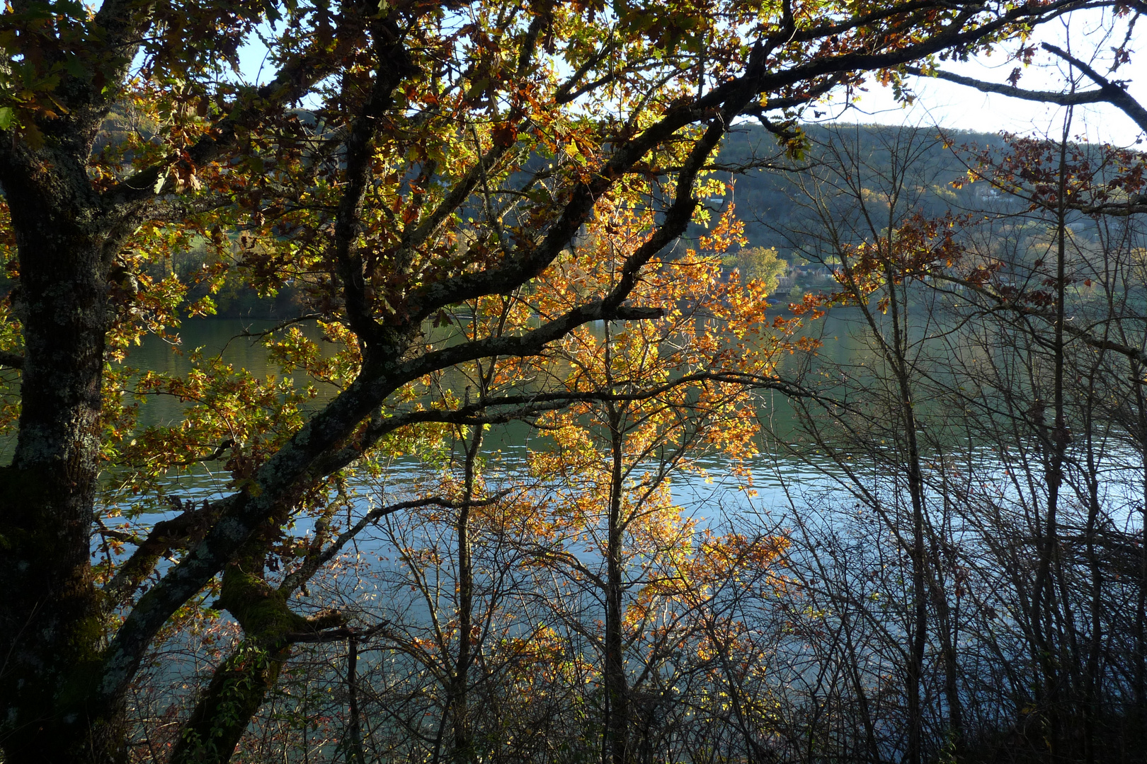 un petit bout de Dordogne en Périgord noir