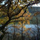 un petit bout de Dordogne en Périgord noir