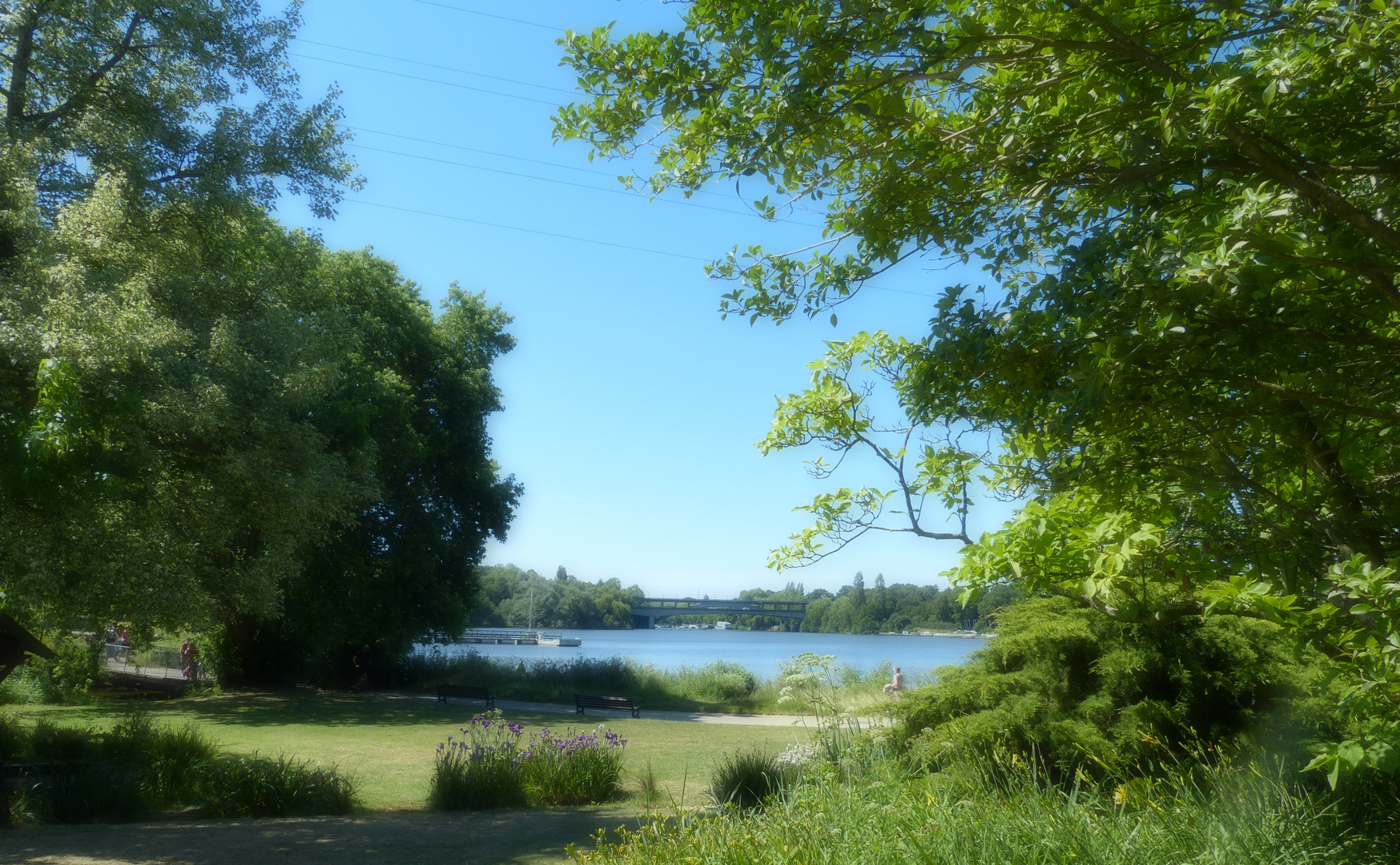 Un petit bout de LOIRE.