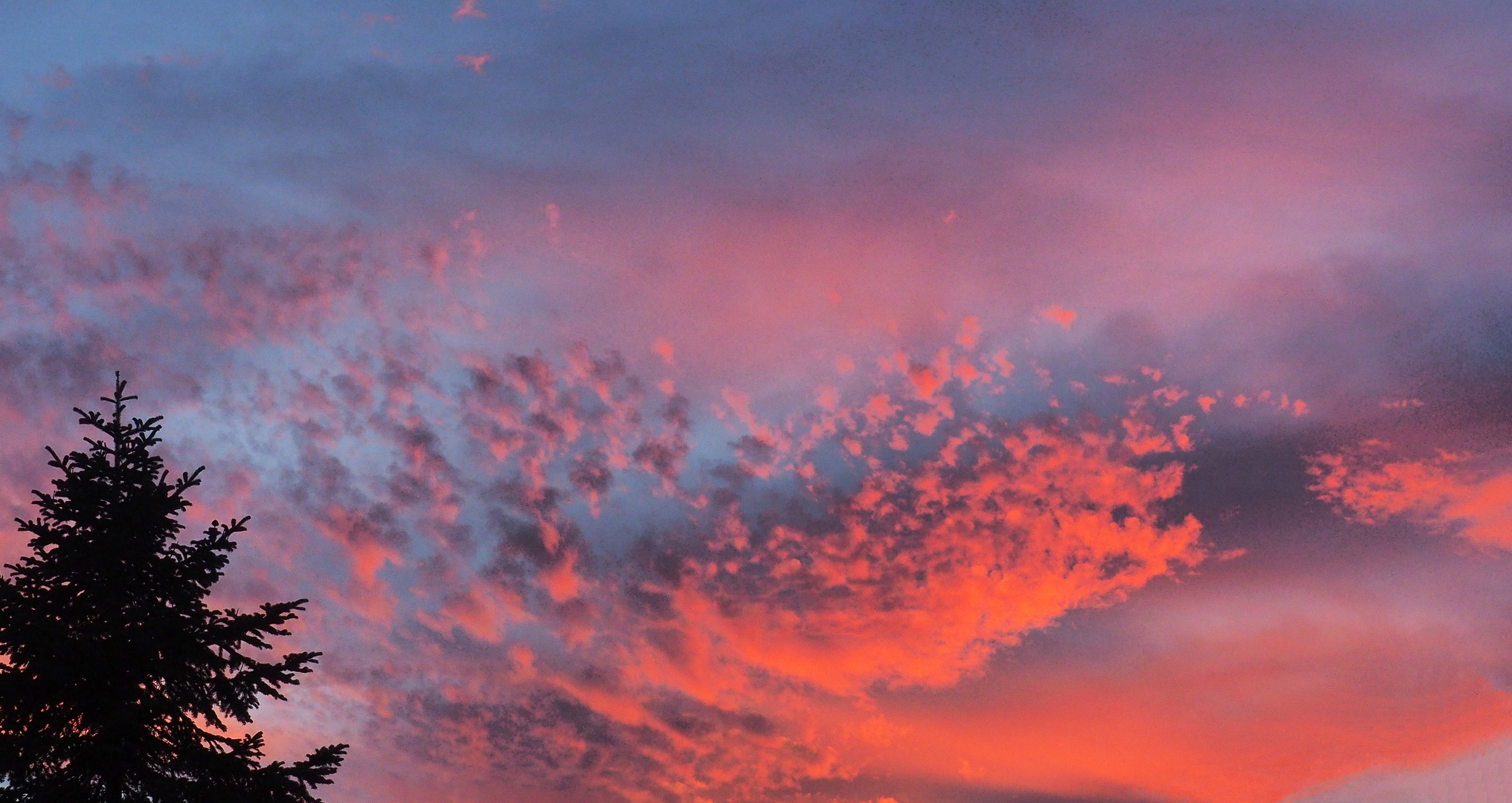 Un petit bout de mon ciel de ce soir…