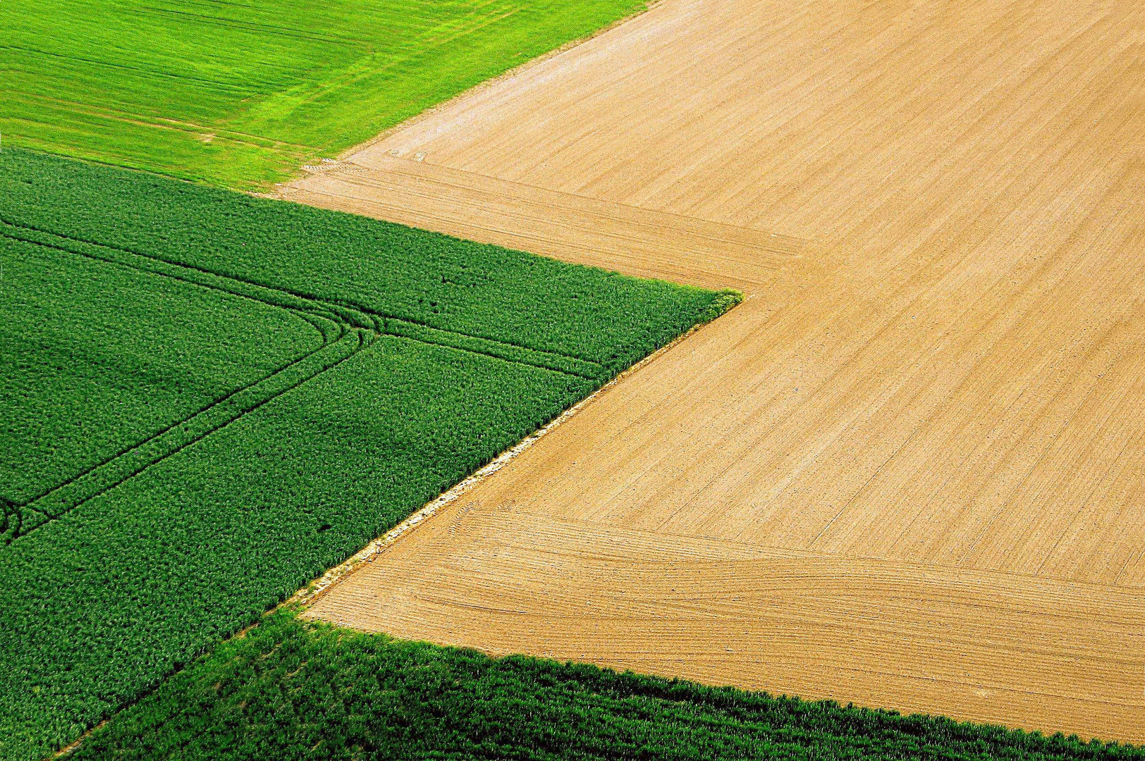 Un petit bout de Wallonie