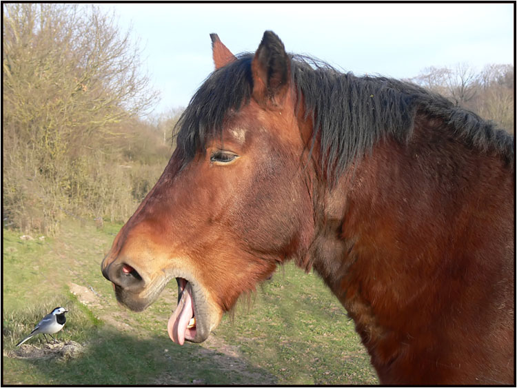 un petit brin de causette......