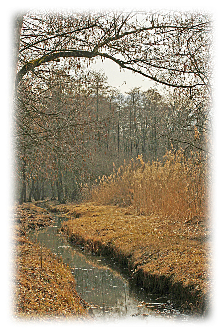 un petit canal en hiver