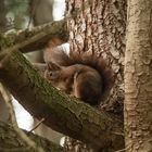 un petit casse-croûte tranquille