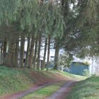 Un petit chemin dans les bois en Ardenne belge .