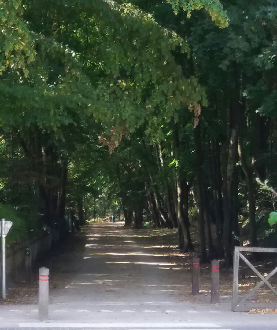 Un petit chemin de promenade .