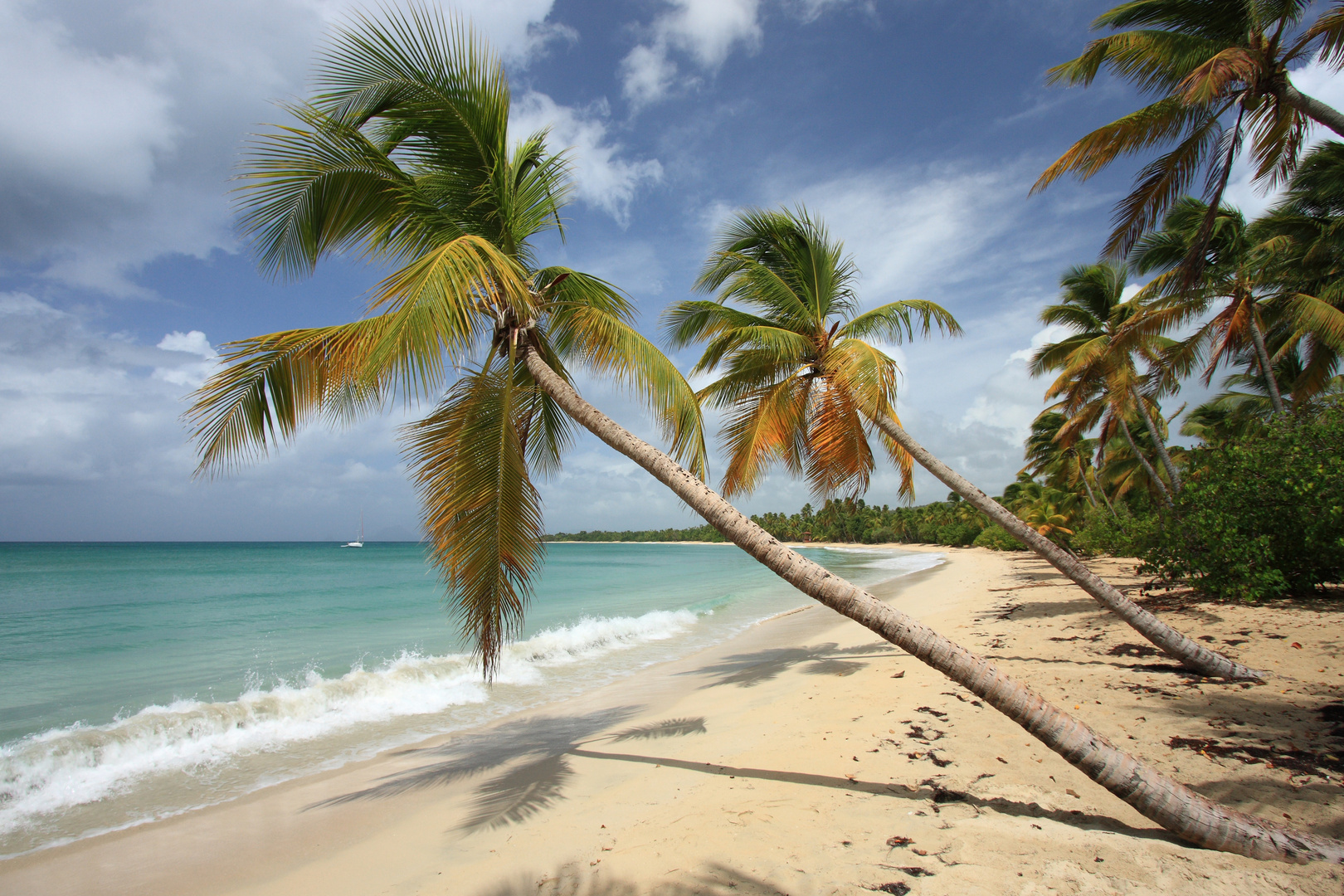 Un petit coin de Paradis...