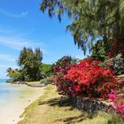 un petit coin de paradis au bord de l'océan indien