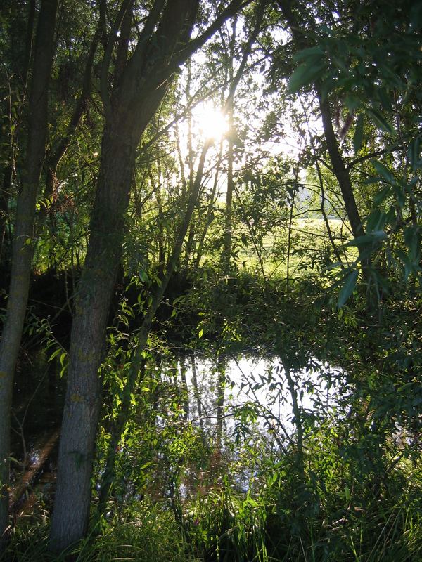 Un petit coin de paradis