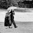 un petit coin de parapluie