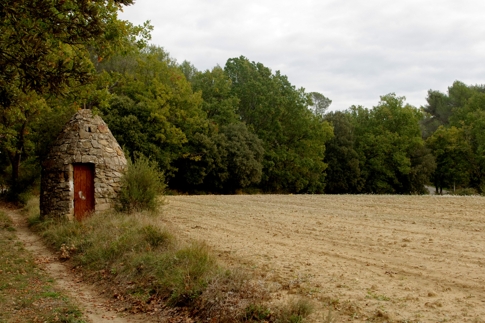 Un petit coin de Provence ....