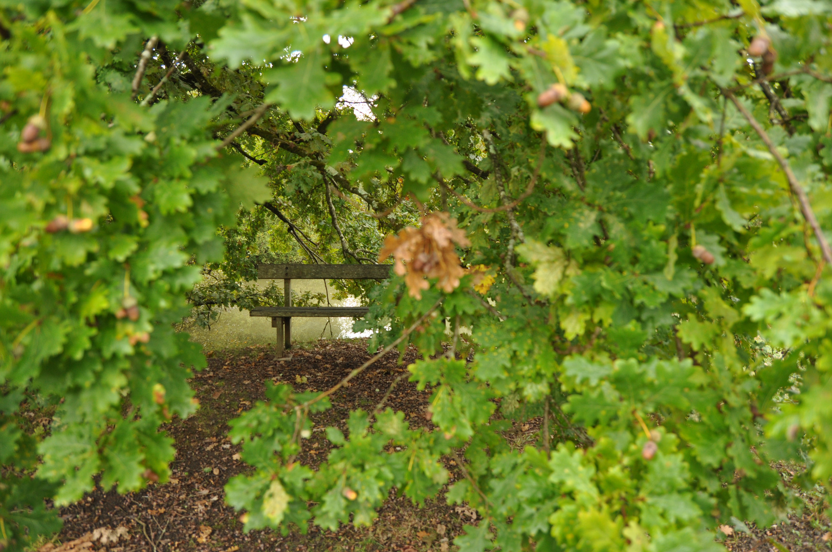 Un petit coin de repos