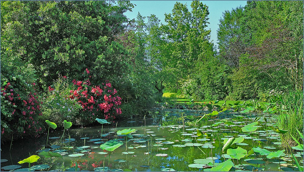 UN PETIT ENDROIT DANS LE PARC