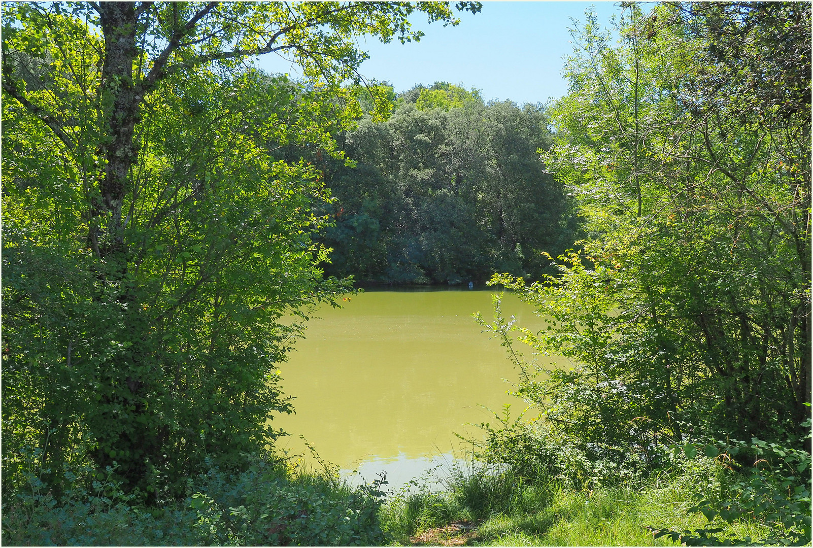 Un petit lac vert près de Condom