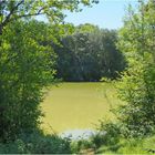 Un petit lac vert près de Condom