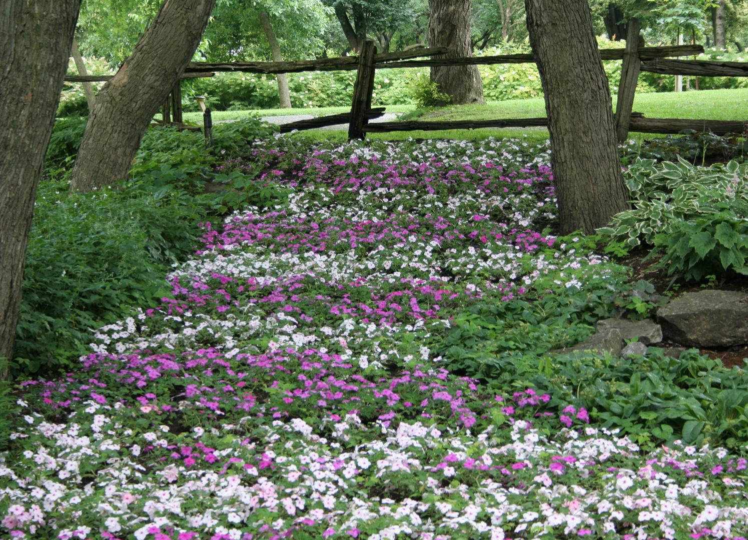 Un petit lit de fleurs