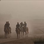 Un petit matin à l'hippodrome de La Tese de Buch