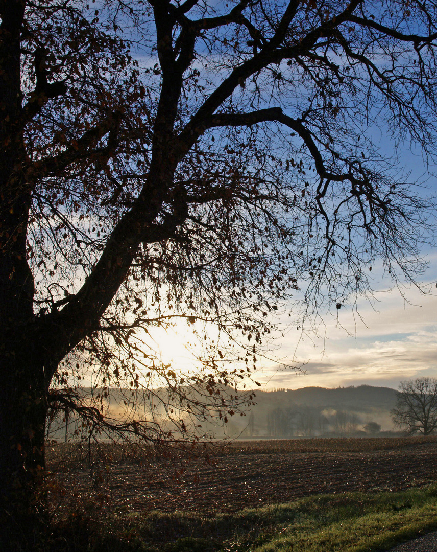 Un petit matin en hiver