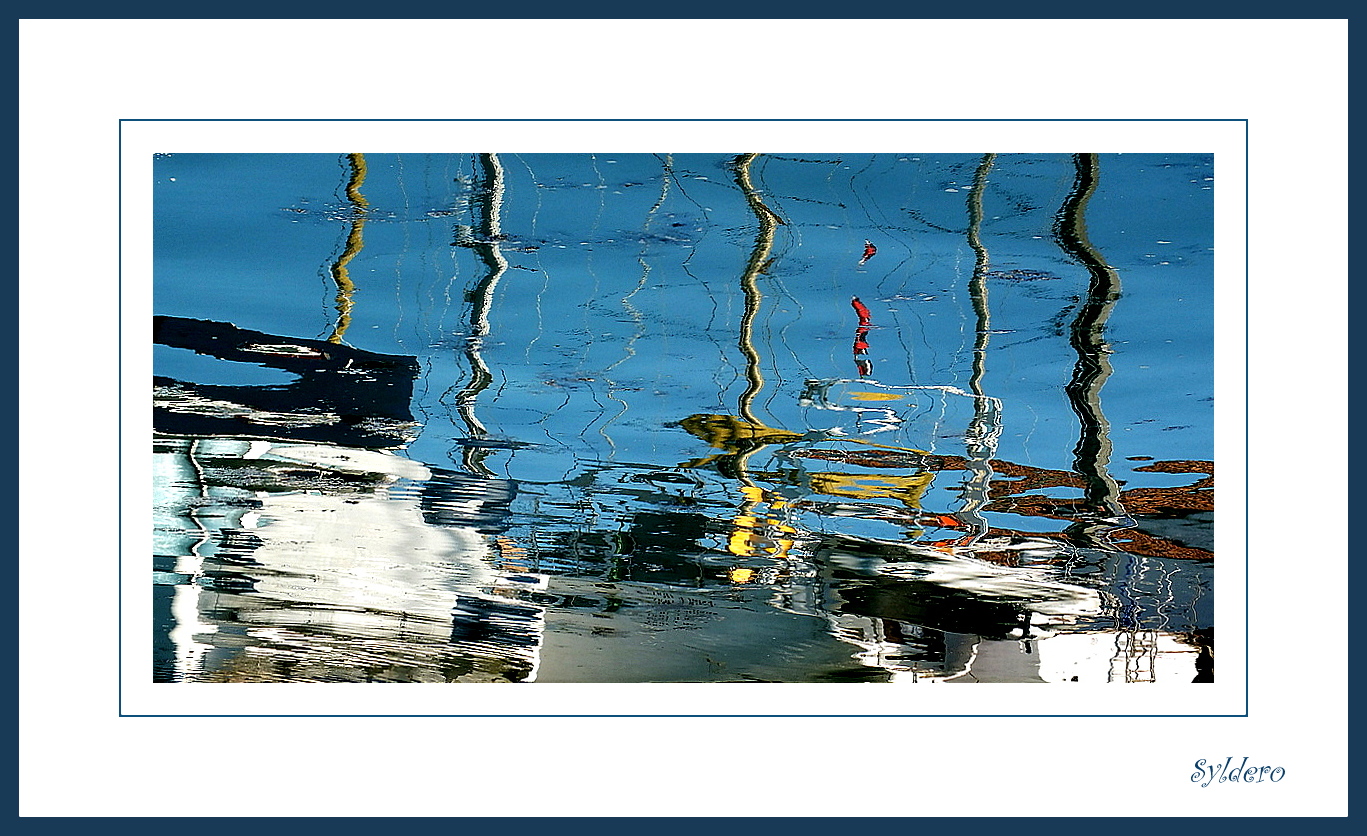 Un petit oiseau dans l'eau