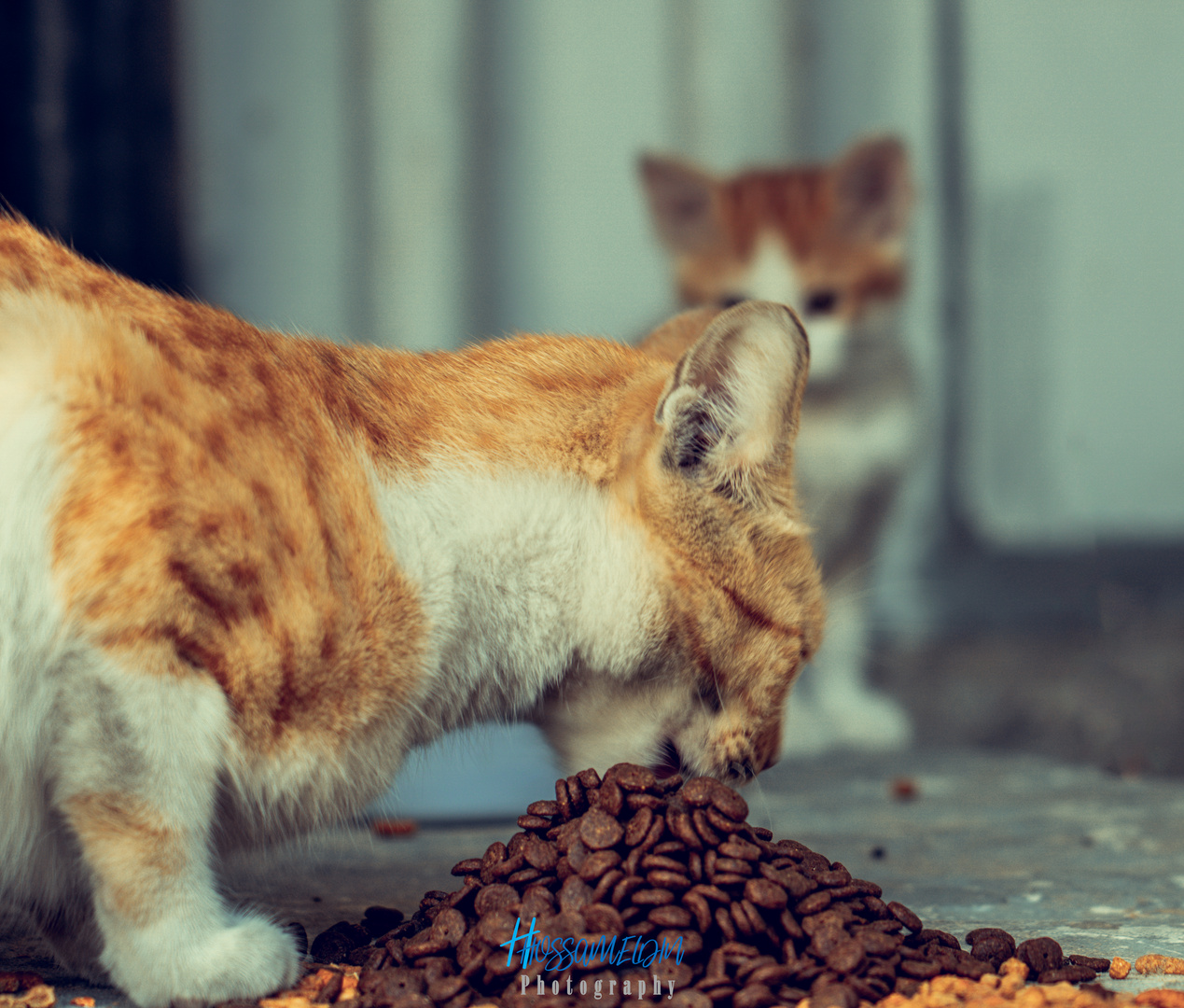 Un petit peu faim