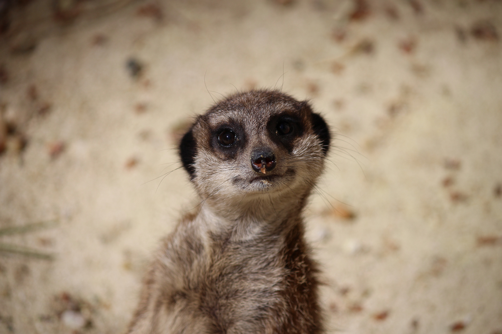 un petit sourire ?