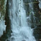 un petit torrent du cote de chez moi