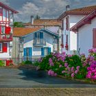 Un petit tour à Cambo les bains