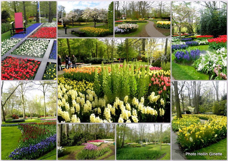 un petit tour dans le parc de KEUKENHOF EN HOLLANDE 