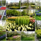 un petit tour dans le parc de KEUKENHOF EN HOLLANDE 