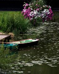 Un petit tour en barque avec moi ?