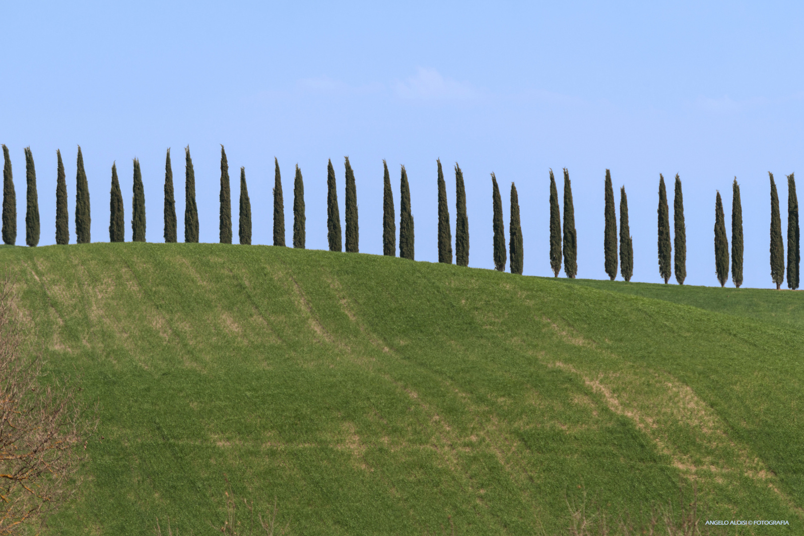 Un pettine della Vald'Orcia