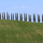 Un pettine della Vald'Orcia