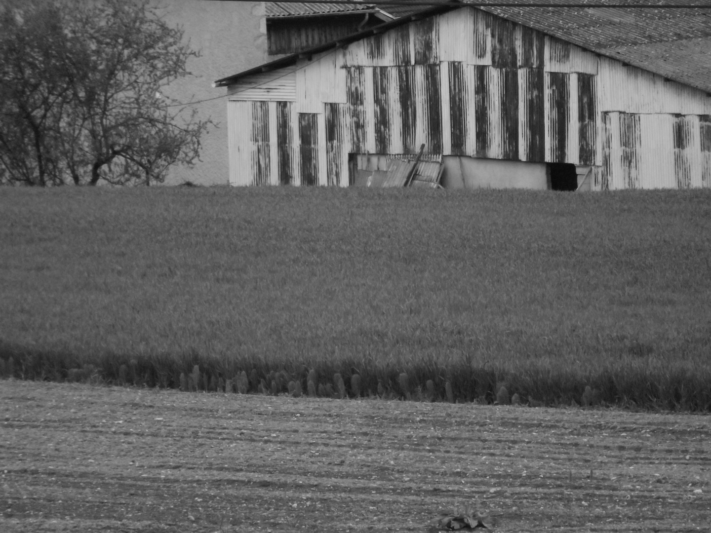 Un peu abandonnée...