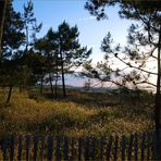 Un peu avant le coucher du soleil près de la plage de Ronce-les-Bains (Charente-Maritime)