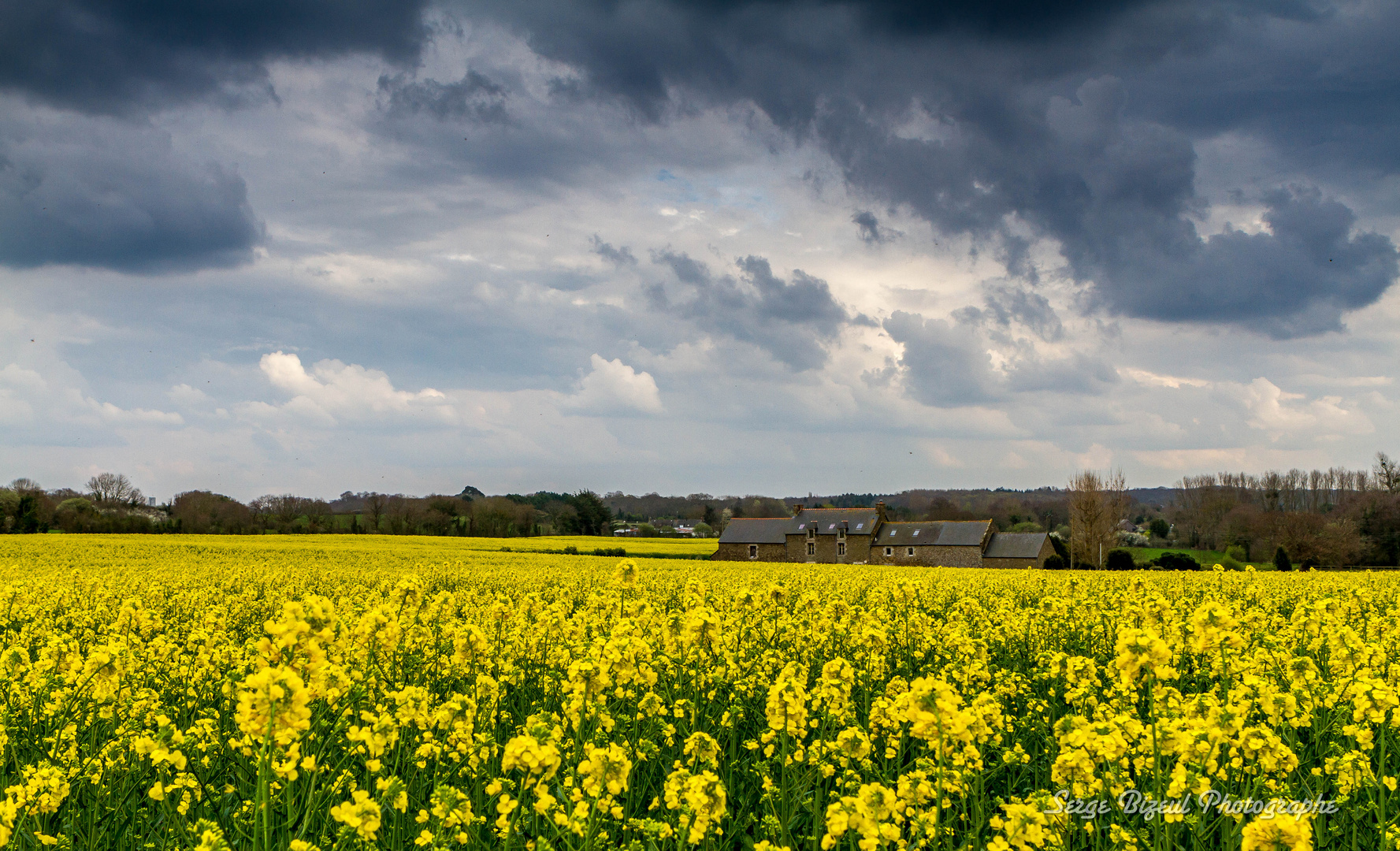 Un peu avant l'orage...