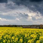 Un peu avant l'orage...