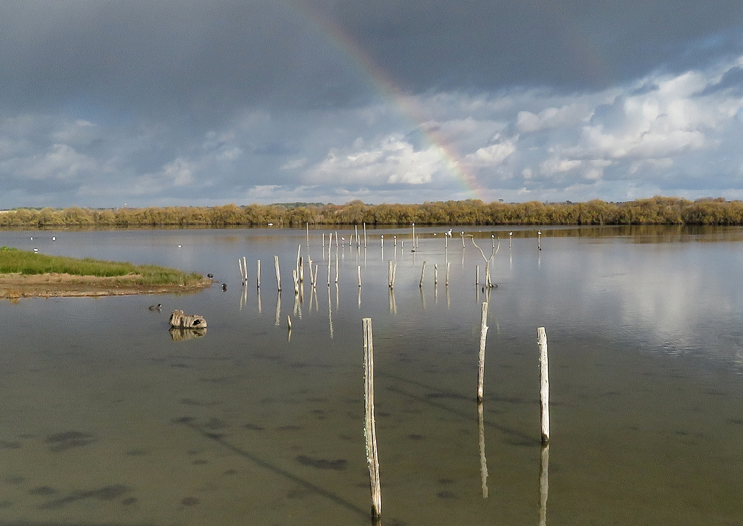 un peu d'arc en ciel !