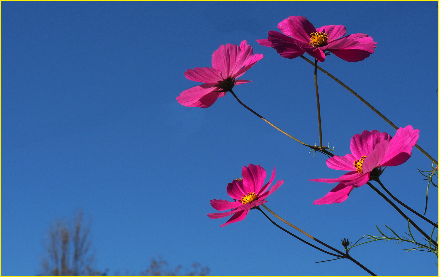  Un peu de couleur…