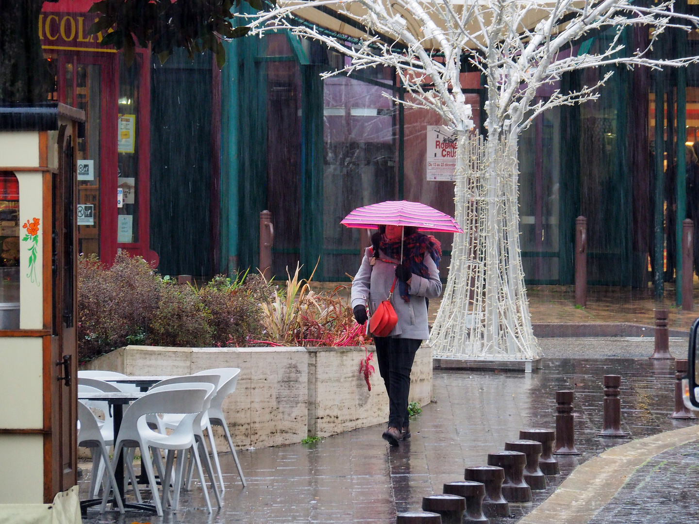 Un peu de couleur sous la pluie.