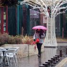 Un peu de couleur sous la pluie.