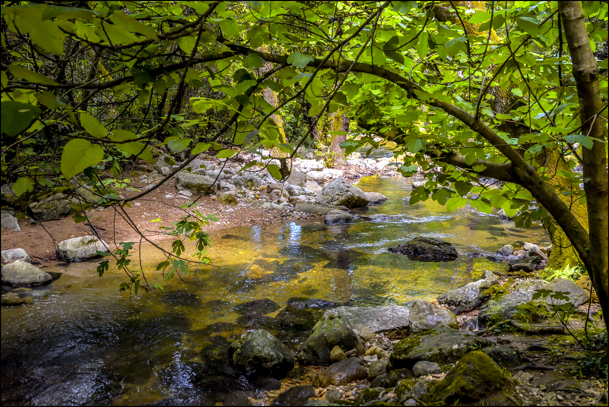 Un peu de fraîcheur au bord de la Brague